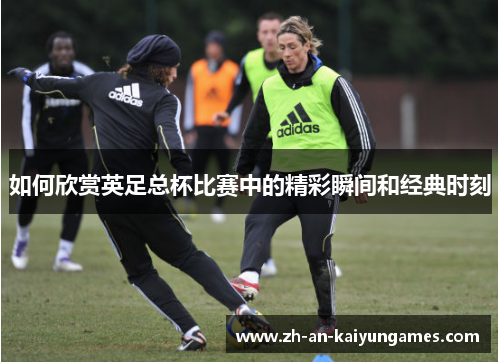 如何欣赏英足总杯比赛中的精彩瞬间和经典时刻