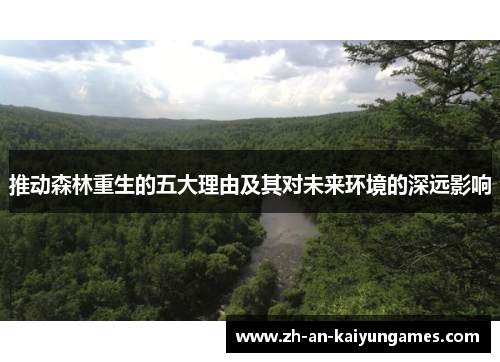 推动森林重生的五大理由及其对未来环境的深远影响