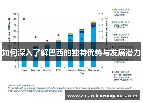 如何深入了解巴西的独特优势与发展潜力