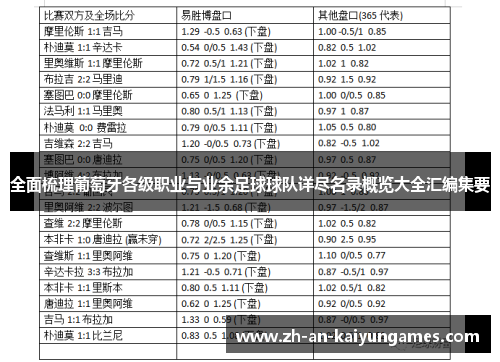 全面梳理葡萄牙各级职业与业余足球球队详尽名录概览大全汇编集要