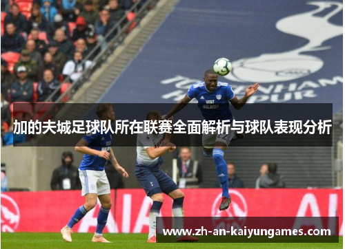 加的夫城足球队所在联赛全面解析与球队表现分析
