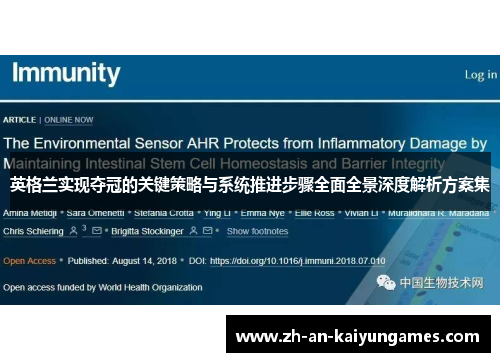 英格兰实现夺冠的关键策略与系统推进步骤全面全景深度解析方案集